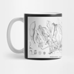 Philodendron martianum - black and white ink botanical illustration Mug